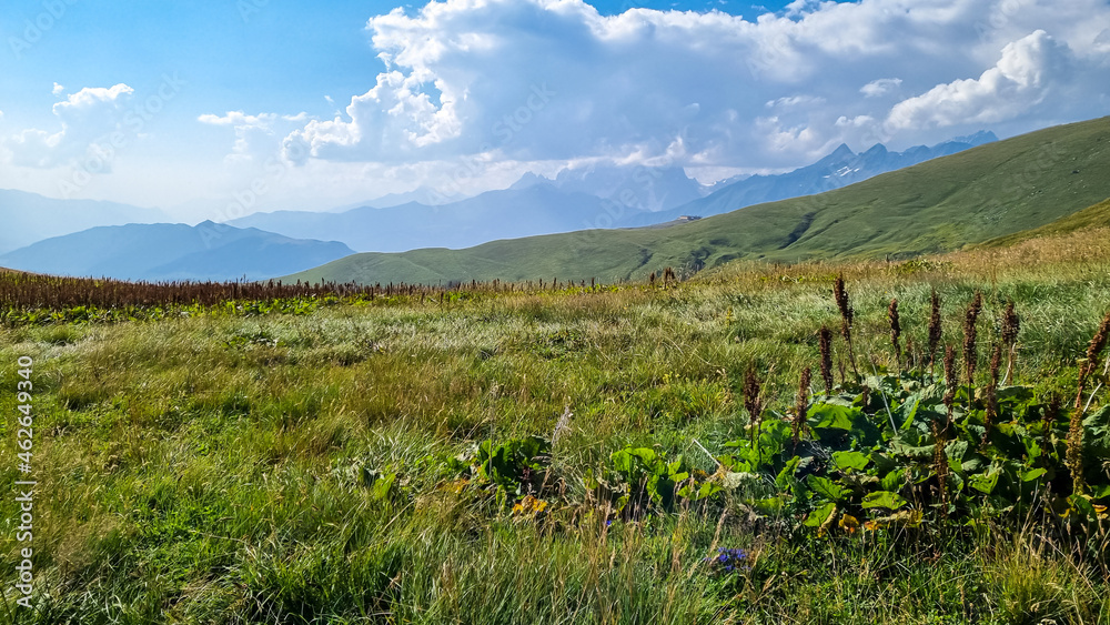 A panoramic view on high Caucasus mountains in Georgia. There are high, snowcapped peaks in the back. Lush pasture in front. Idyllic landscape. Calmness and meditation. Natural remedy