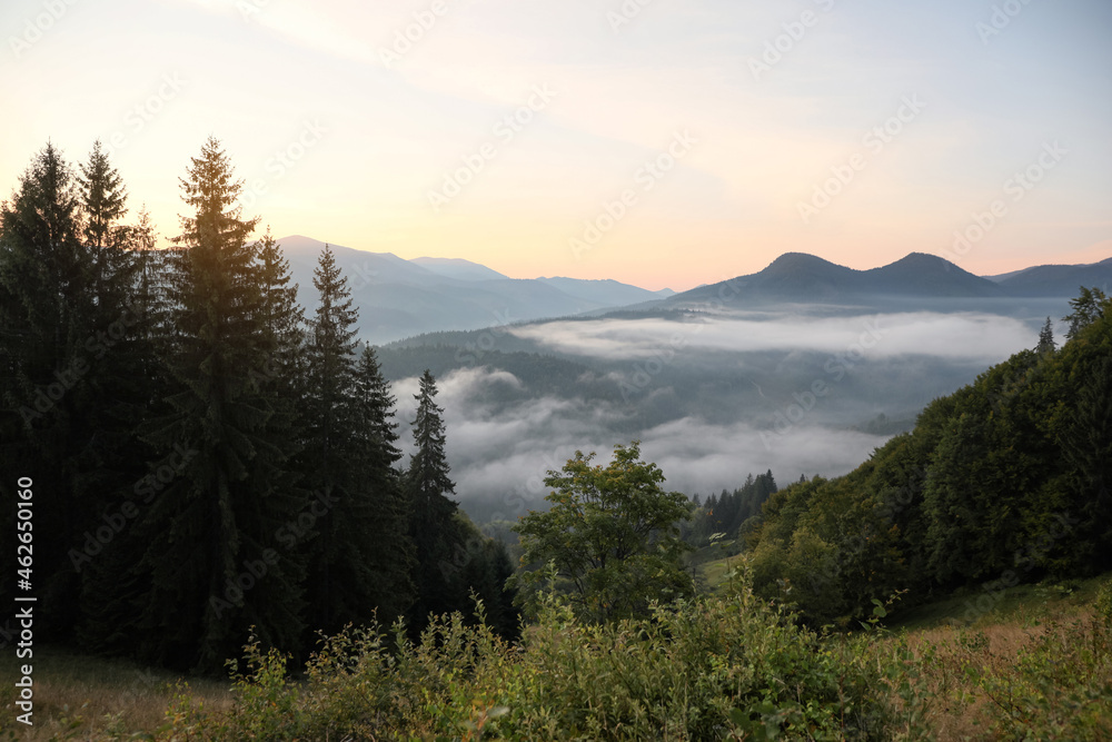 Picturesque view of beautiful foggy mountains in morning