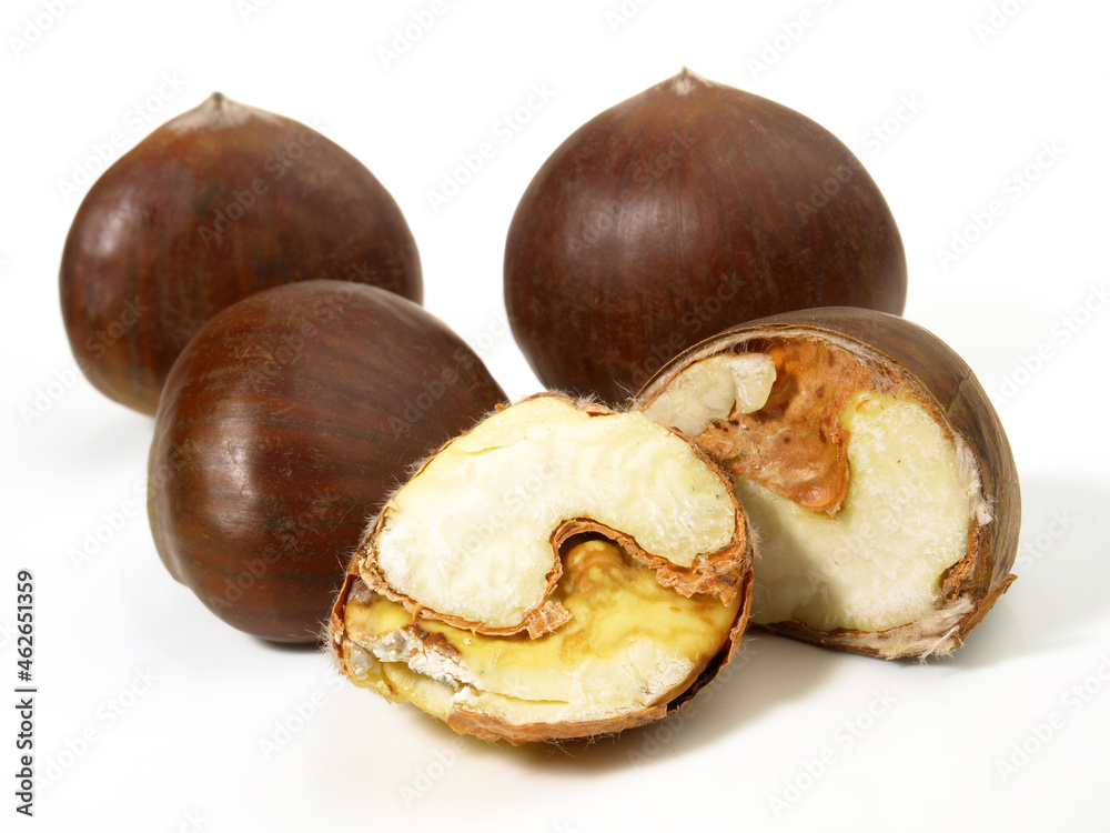 Fresh unpeeled Chestnuts on white Background Fresh unpeeled Chestnuts on white Background