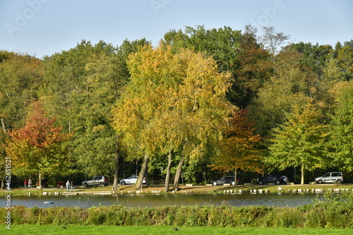 Arbres à feuillage parfois brun-rouges vifs bordant les rives du lac de Genval en automne 