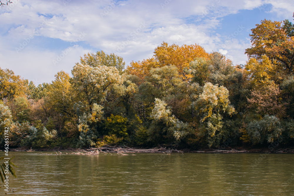 The river on the background of the autumn forest. Nature in the fall. Warm autumn day The river on the background of the autumn forest. Nature in the fall. Warm autumn day
