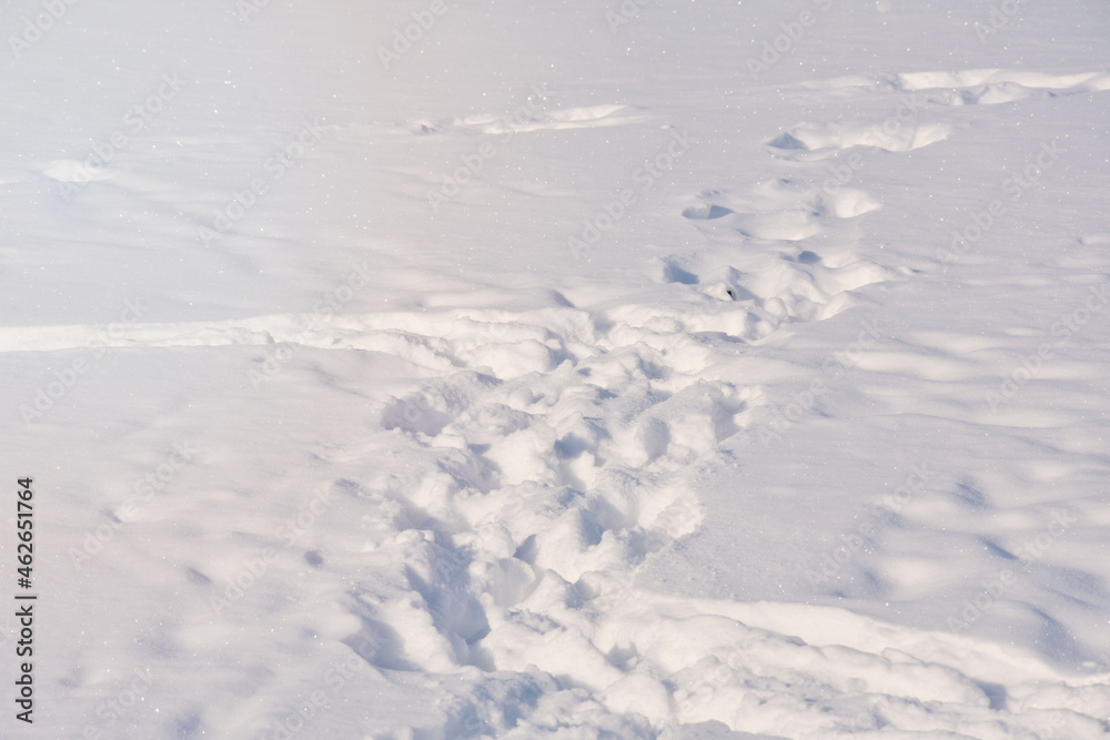 Footprints on snow in sunlight in wintertime Footprints on snow in sunlight in wintertime