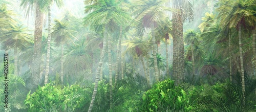 Jungle  rainforest during the plank  palm trees in the morning in the fog  jungle in the haze  3D rendering