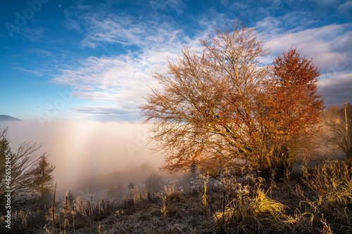 Frozen grass against the backdrop of a beautiful sky and fluffy fog