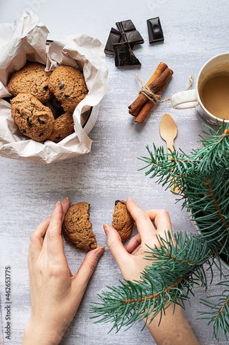 Woman's hands with chocolate cookies and a fir tree branch