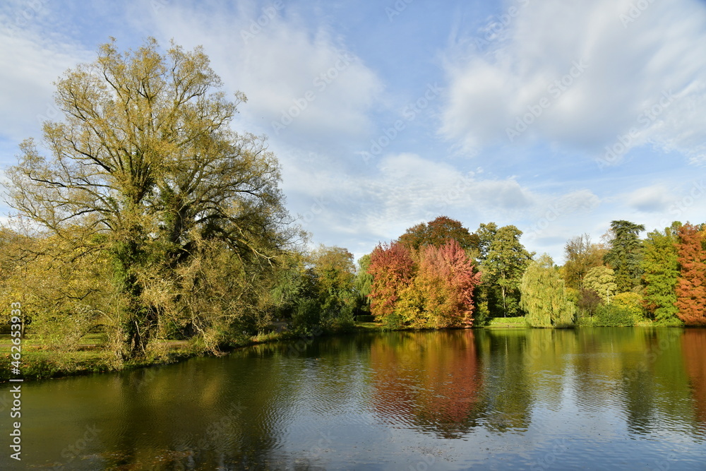 Les arbres bordant le petit étang sous un ciel peu nuageux en fin de journée d'automne au parc Tenreuken à Watermael-Boitsfort