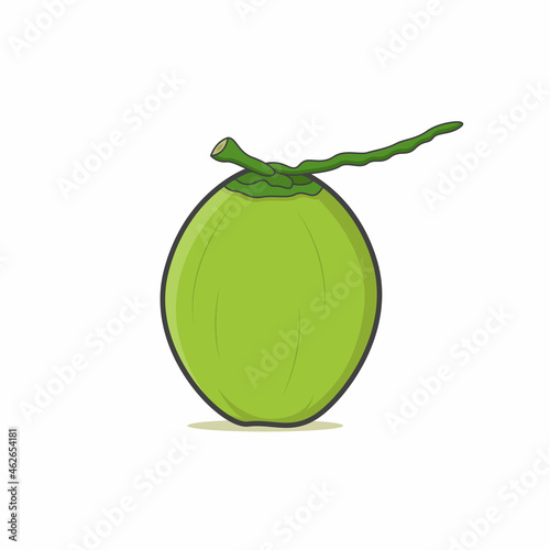 Isolated green coconut vector graphics