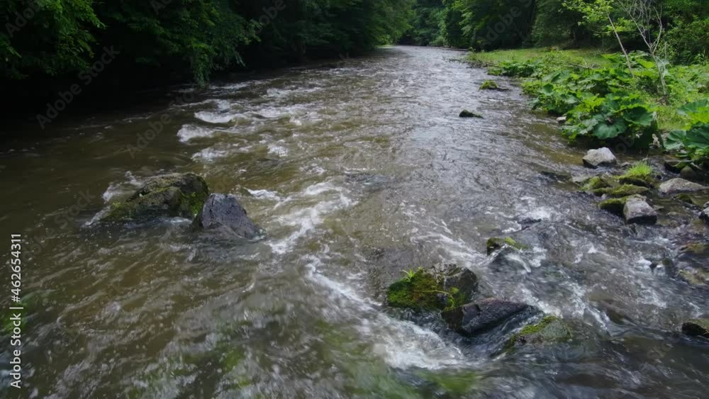Wild river flowing through forest, water splashing in slow motion Wild river flowing through forest, water splashing in slow motion