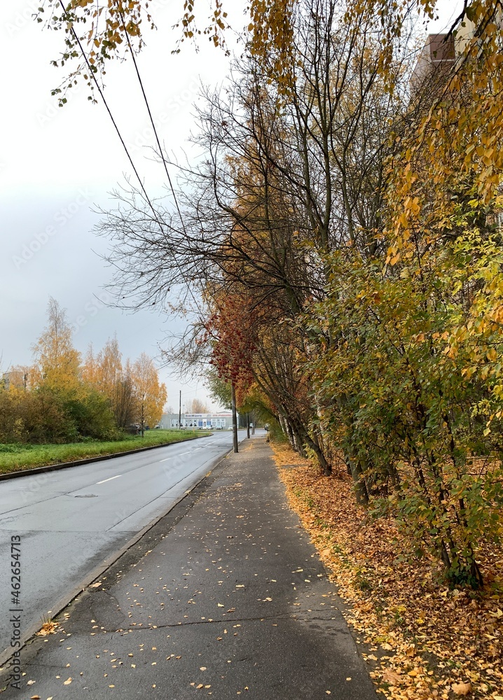 Obraz premium beautiful autumn