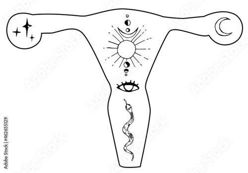 Female reproductive system with flowers. Uterus, cervix, ovaries, vagina and pink peonyes with leaves. Hand painted watercolor illustration on watercolor background.