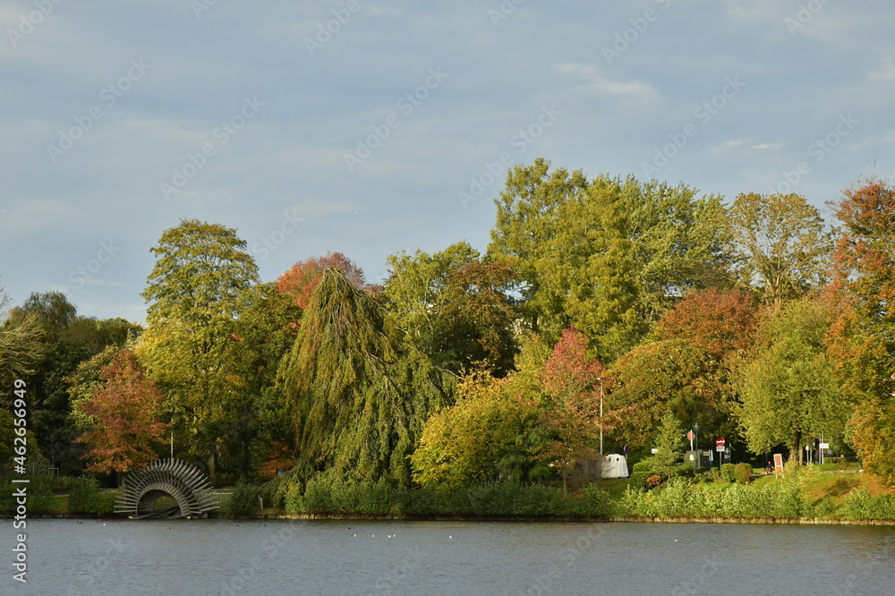 Merveilles de l'automne sur les feuillages des arbres pendant une éclaircie en fin de journée sous un ciel gris aux étang Tenreuken à Watermael-Boitsfort