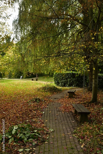 Coin de repos le long d'un chemin de promenade au parc des Etangs Tenreuken à Watermael-Boitsfort photo