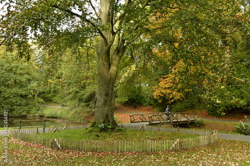 Le petit pont en rocaille rustique sous la végétation luxuriante du parc Tenreuken en automne à Watermael-Boitsfort photo