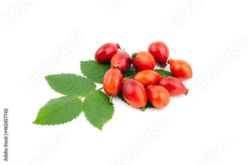 Rose hips briar berries with fresh green leaves isolated on white
