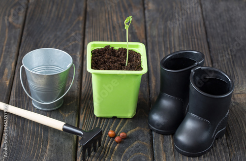 on the table is a sprouting seed in a flowerpot, a bucket, boots and a rake