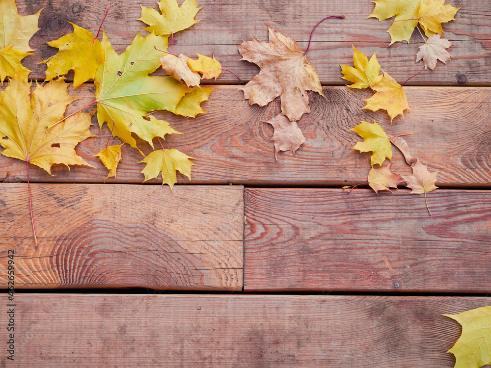 Obraz premium autumn background with colored leaves on a wooden board