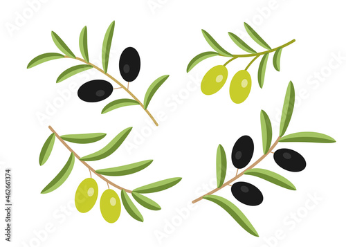 Set of olives on white background.