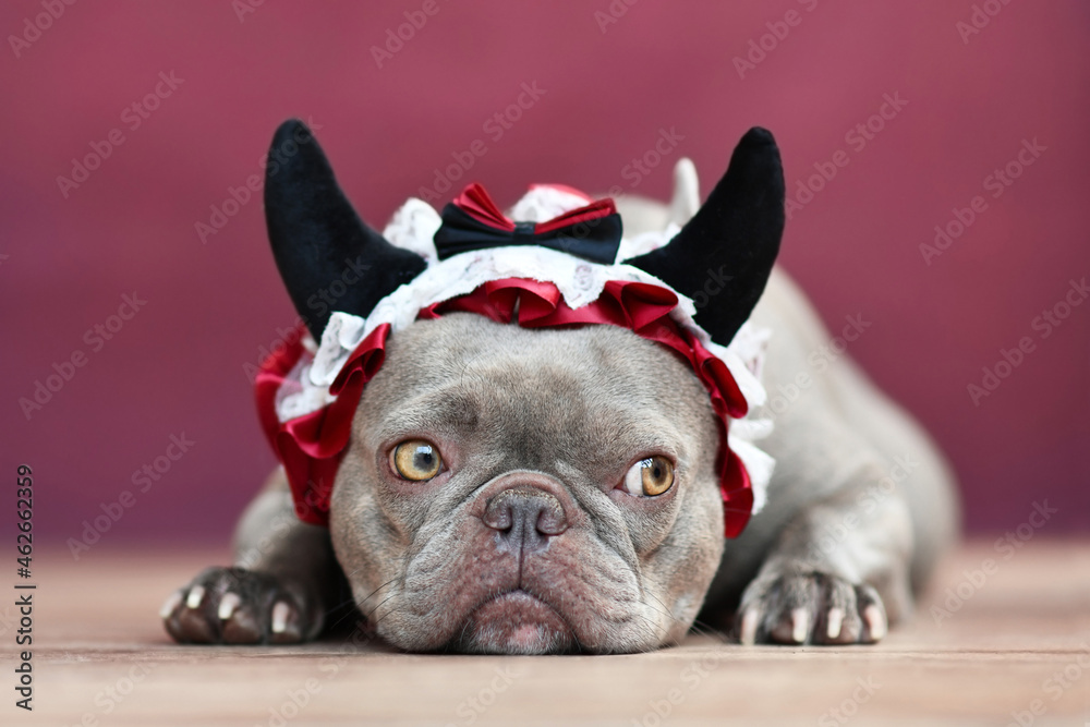 French Bulldog dog wearing red devil horn headband with ribbon in front of red background