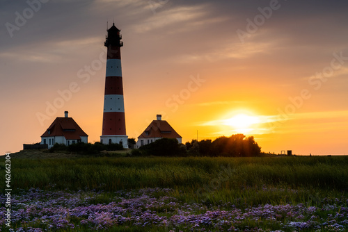 Westerheversand lighthouse in flowerfield during sunset