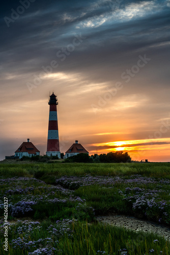 Westerheversand lighthouse in flowerfield during sunset