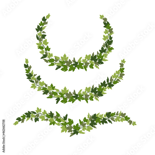 Ivy wreaths, green creeper decorative design elements isolated on white background. Vector illustration in flat cartoon style.