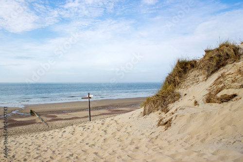 the dunes  Haamstede  Zeeland  the Netherlands