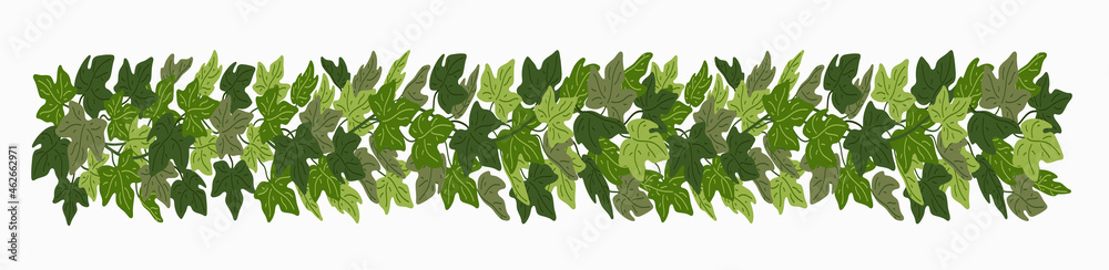 Fototapeta premium Ivy festoon, green creeper decorative border isolated on white background. Vector illustration in flat cartoon style