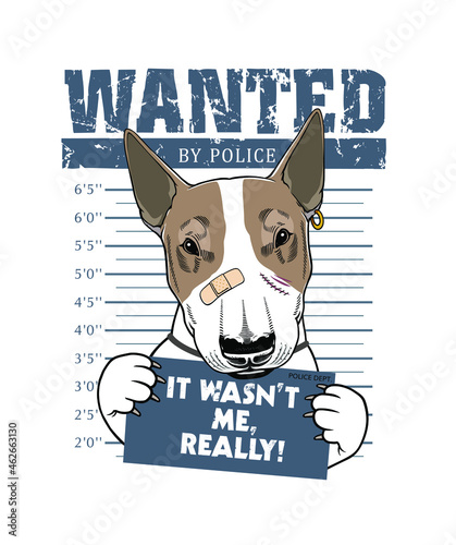  Vector illustration of a cute dog, Wanted, bull terrier, bulldog, pitbull. Print for poster or t-shirt, stickers.