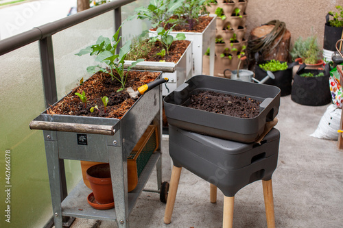 Fresh worm castings (compost) is ready to be added to elevated garden beds on a patio. Worm composters are a perfect solution in an apartment, on a balcony or porch, or inside to process food waste
