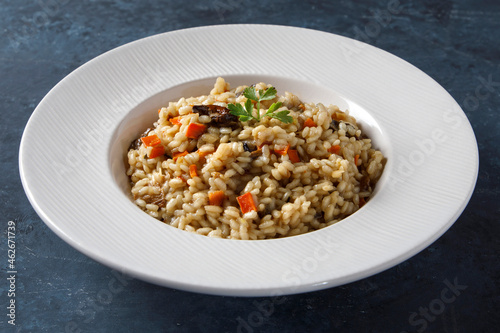 Risotto, Italian rice with mushrooms, vegetables and parsley served on white porcelain plate