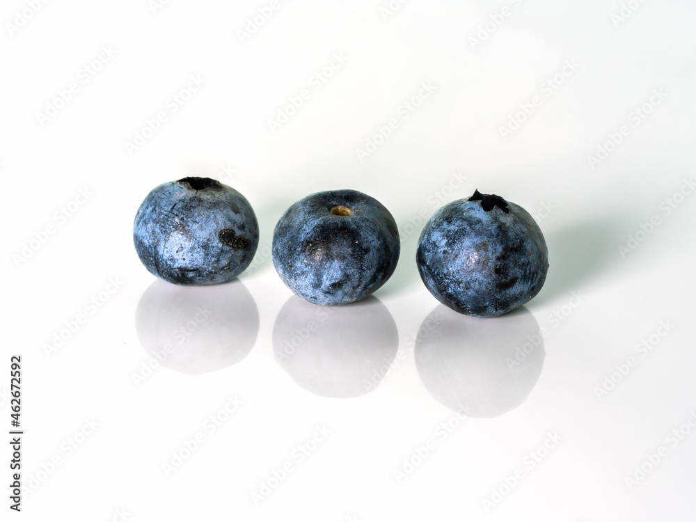 Blueberry on a white background. Blueberry on a white background. Full depth of field Blueberry on a white background. Blueberry on a white background. Full depth of field