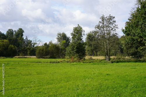 Sonnige Landschaft mit Feldern und Bäumen im Spreewald bei Lübbenau