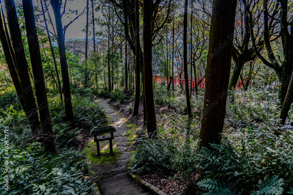 Naklejka premium 小牧山吉五郎稲荷への参道