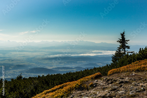 Fototapeta Naklejka Na Ścianę i Meble -  Barania Góra Silesian Beskids Poland view of the Tatra Mountains