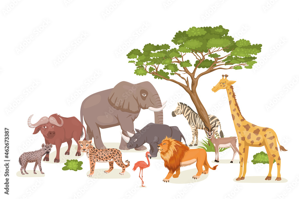 Fototapeta premium African Savannah Wild Animal Set. Lion, Rhino, Zebra, Buffalo, Giraffe, Flamingo, Leopard, Gazelle, Elephant, Hyena. Flat Vector Illustration. Animals of Africa. Savannh Safari Concept
