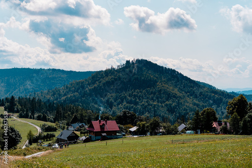 Fototapeta Naklejka Na Ścianę i Meble -  view of the mountain peak of Beskid Poland