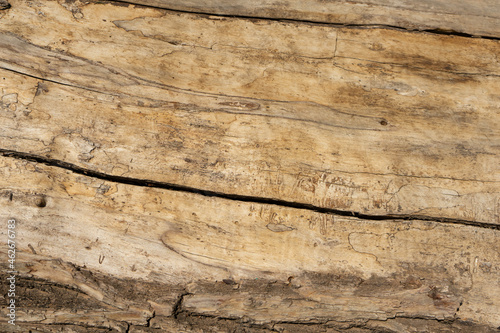 texture background of a brown wood 