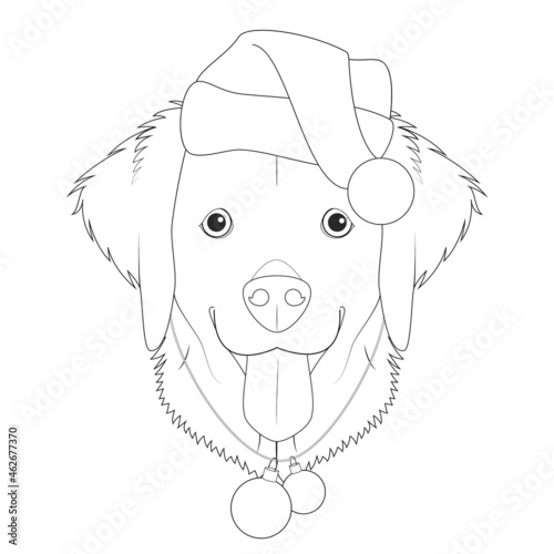 Christmas greeting card for coloring. Golden Retriever dog with Santa's hat and Christmas toy balls