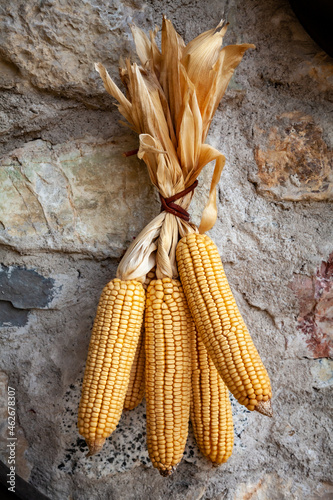 Dried corn cobs on stone wall