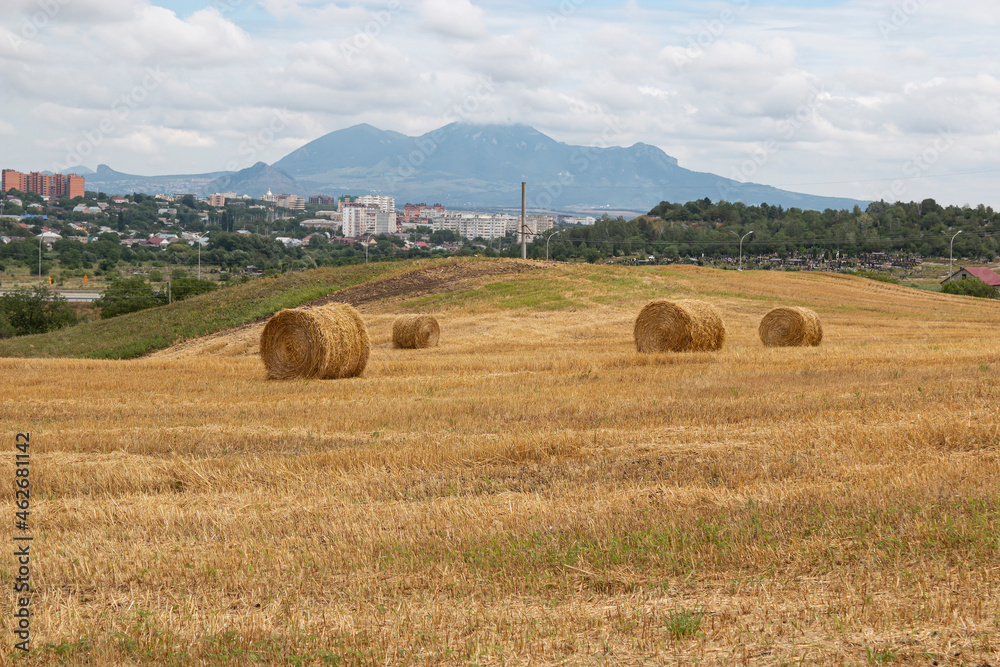 The region of the Caucasian Mineral Waters. Harvest time: a large round bale of hay on a mown summer meadow, photographed in close-up, with mountains surrounding fields in the background.