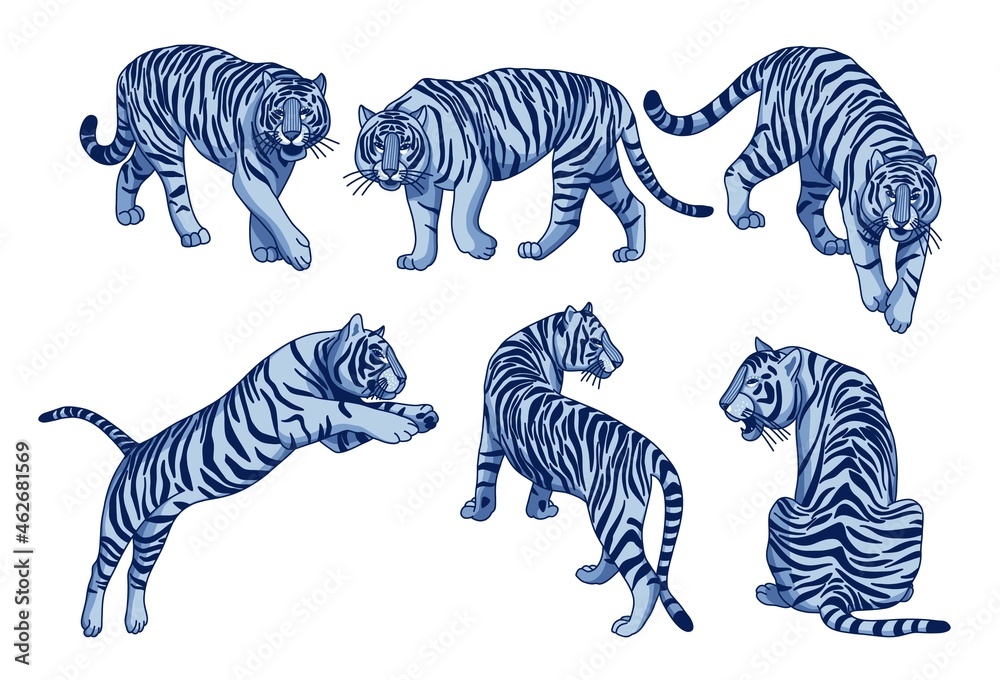 Obraz premium Vector set of navy blue nordic tigers. Asian wildlife