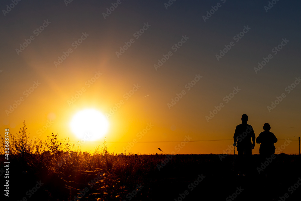 Silhouette of two people walking in the field at sunset. Rural life. Sunset walks