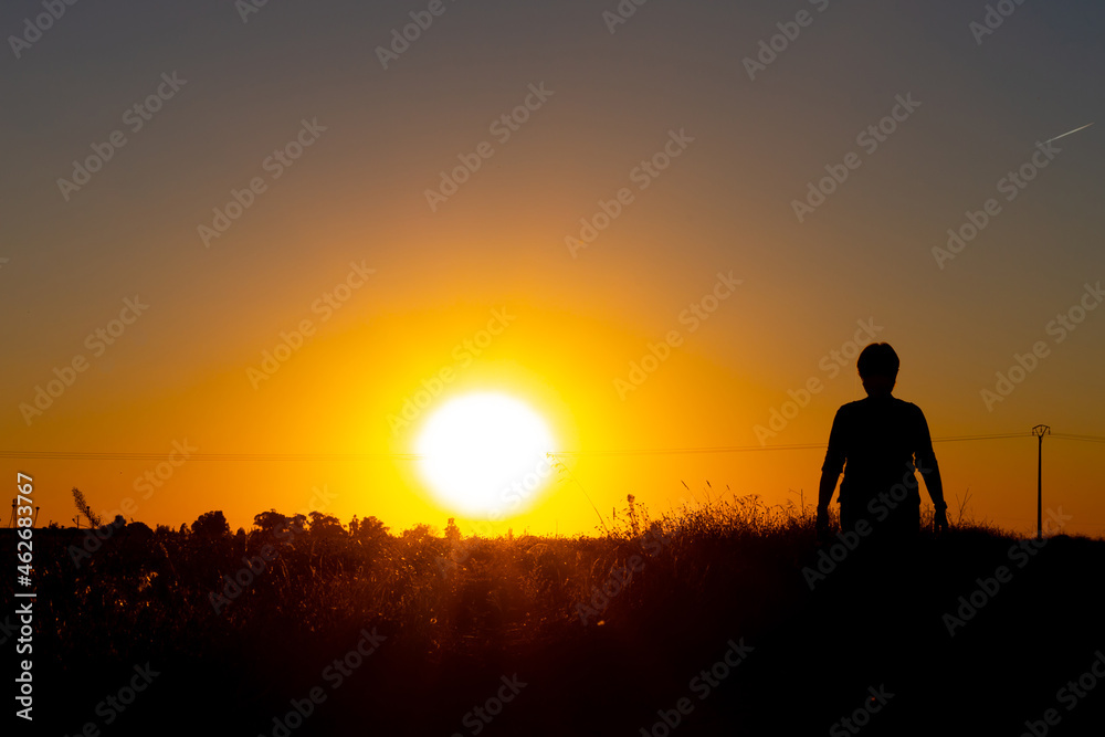 Silhouette of a woman walking in the field at sunset. Rural life. Sunset walks