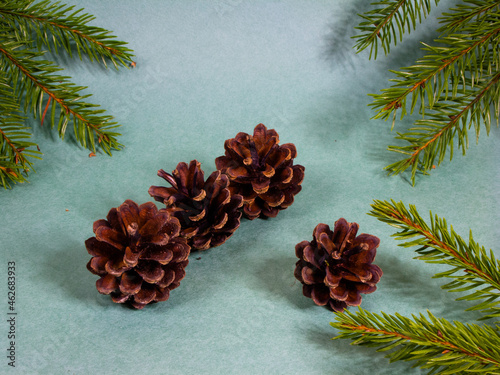 Pine cones. Twigs of a Christmas tree.