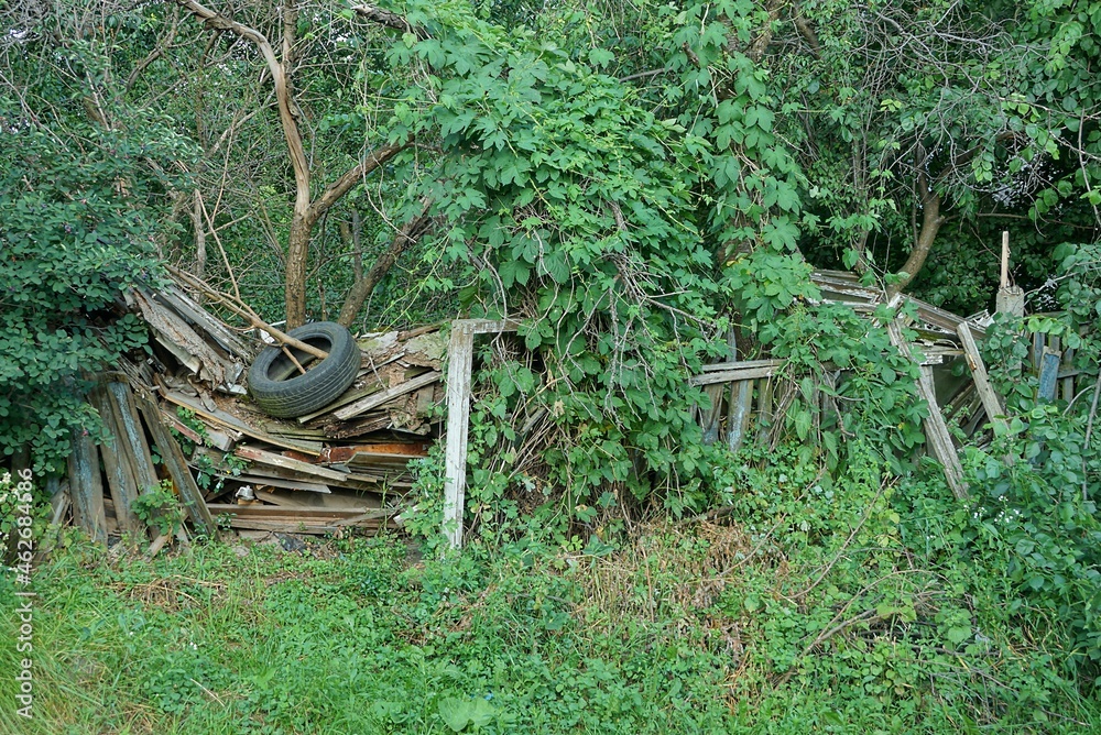 old broken wooden gray fence overgrown with green vegetation and grass on a rural street