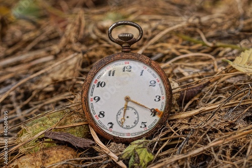 one old pocket watch lies in dry brown grass in nature