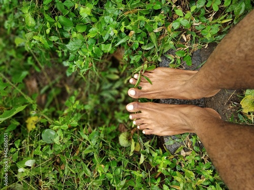 legs of a person standing near plants 