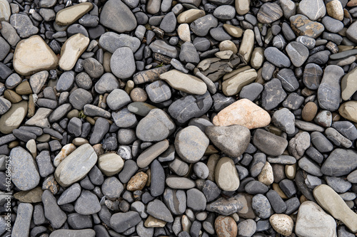 Sea pebbles. Background of pebbles. Wet stones. Multicolored pebbles. Sea shore.