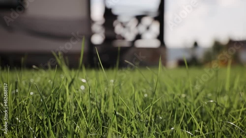 Panning shot of fresh spring green grass on pretty meadow. Summer concept. Low angle dolly steadyshot photo