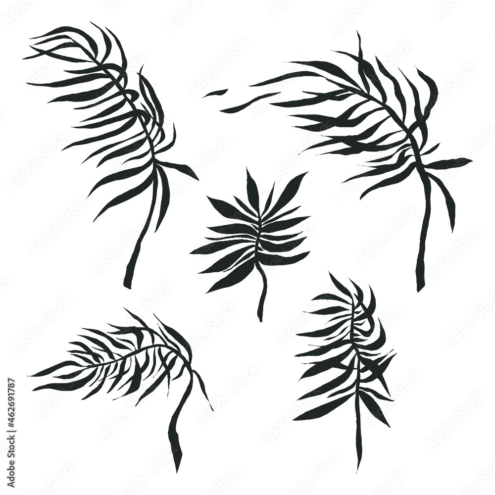 Fototapeta premium Abstract leaves silhouette. Minimalistic outlines of branch and leaf. Boho flower and plant. Element for abstract poster. Stock vector illustration isolated on white background.